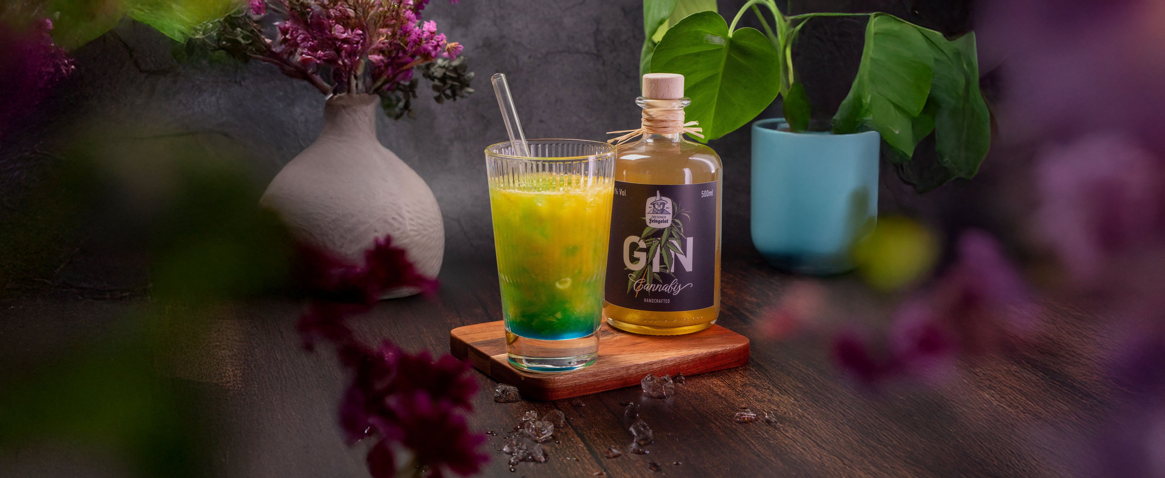 Stimmungsvolle Szene mit einer Flasche „Dresdner Feingeist Cannabis Gin“ und einem farbenfrohen Cocktail im Tumblerglas – der Drink zeigt einen markanten Farbverlauf von Blau zu Gelb. Beide stehen auf einem Holzbrett, umgeben von Eiswürfeln. Im Hintergrund sind eine schlichte Vase mit Trockenblumen und eine grüne Pflanze in einem blauen Topf zu sehen. Umrahmt von violetten und grünen Unschärfen im Vordergrund.