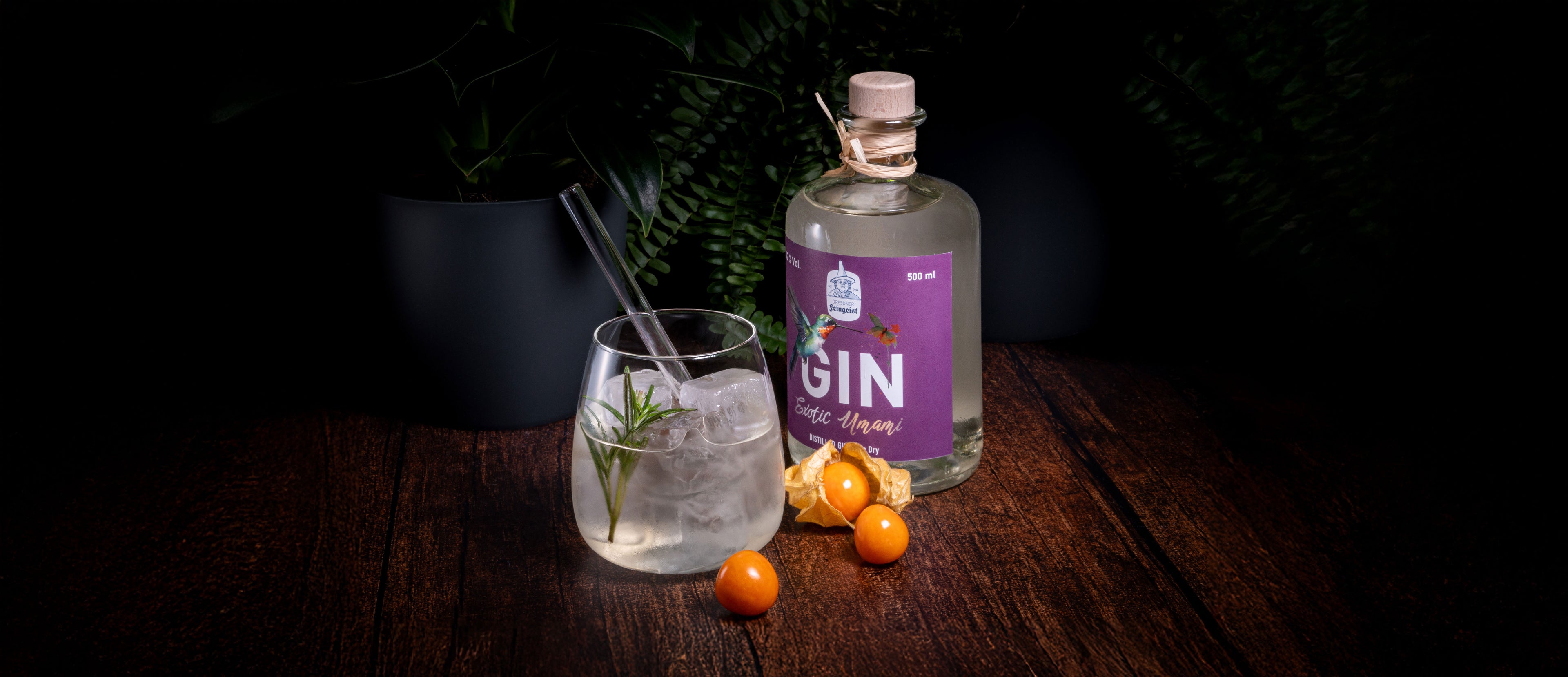 Ein atmosphärisch inszeniertes Gin-Arrangement mit der Sorte „Exotic Umami“ von Dresdner Feingeist: Die purpurfarbene Flasche steht neben einem runden Glas mit Eiswürfeln, einem Rosmarinzweig und einem Metall-Strohhalm. Auf dem dunklen Holztisch liegen dekorativ ein paar leuchtend orangefarbene Physalis; im Hintergrund sorgen Farn und schwarze Pflanztöpfe für eine stilvolle, natürliche Kulisse.