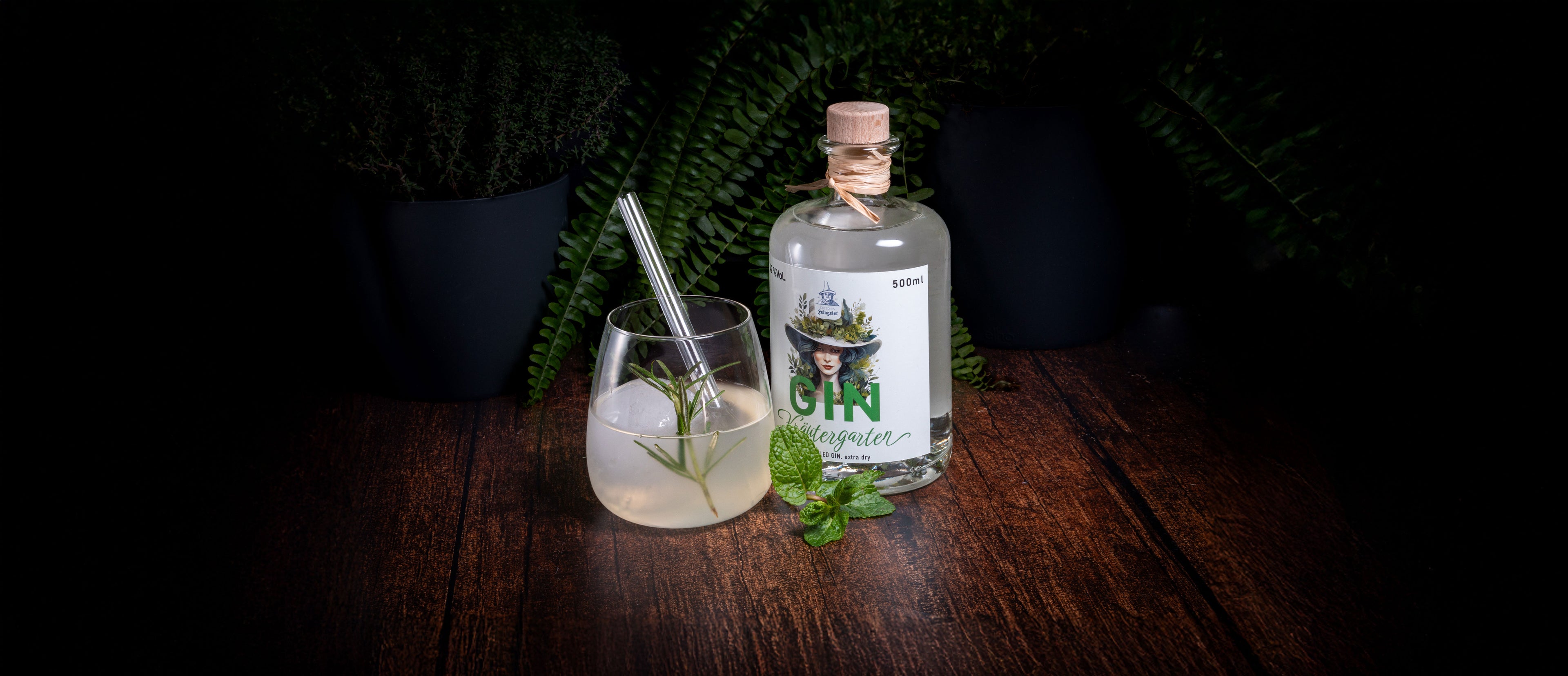 Ein stilvoll arrangiertes Gin-Set mit der Sorte „Kräutergarten“ von Dresdner Feingeist: Eine klare Ginflasche mit Naturkorken steht neben einem Cocktailglas mit einem hellen Drink, Rosmarinzweig und Metall-Strohhalm. Im Hintergrund fügen sich dunkle Blumentöpfe mit Farnen harmonisch in die Szene auf dunklem Holztisch ein.