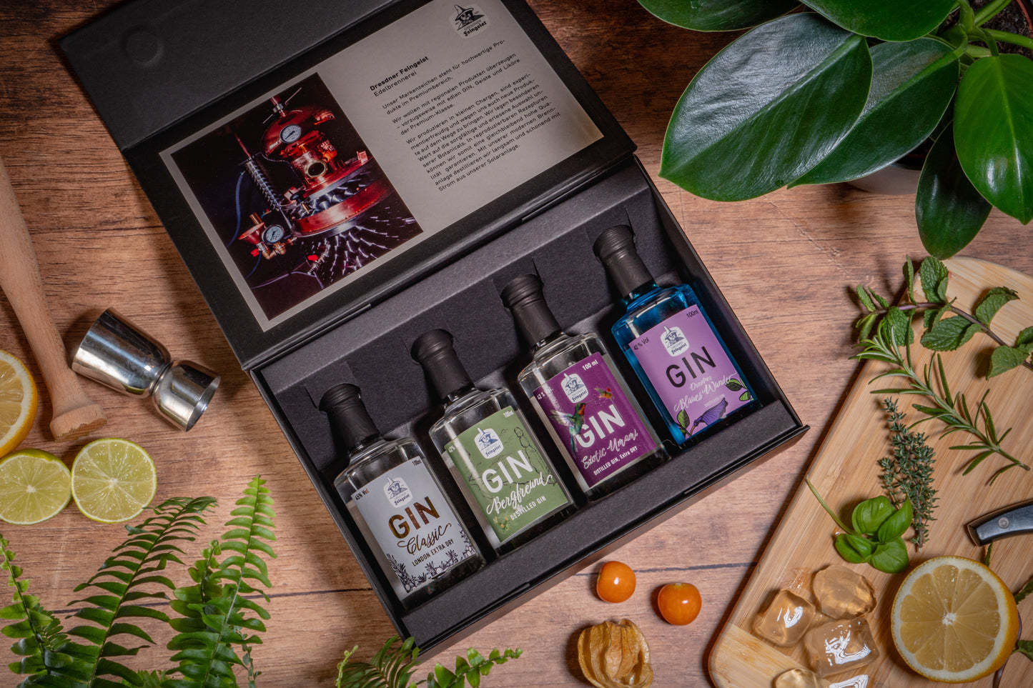 Tasting-Box mit 4 Gin-Sorten