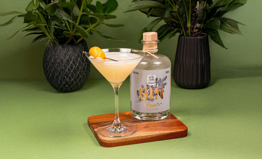 🍊🍸 Firefly – Der elegante Zitrus-Cocktail mit Dresdner Feingeist GIN Classic ✨