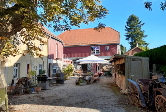🍂 Herbstmarkt Stolpen 2025 – Dresdner Feingeist Gin entdecken 🍸✨🥾