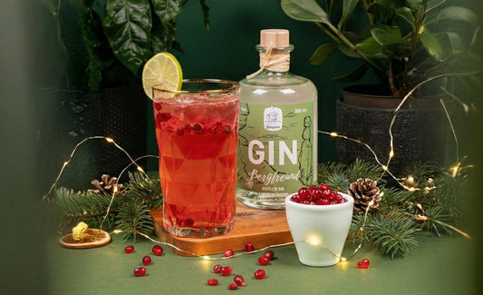🍎✨ Pomegranate Gin & Tonic – Fruchtig-herber Gin Tonic Twist mit alpiner Kräuterfrische ✨🍎