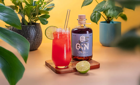 🍹 Fruchtiger Sommergenuss: Sloe Gin Rickey mit Dresdner Feingeist Sloe Gin 🍹