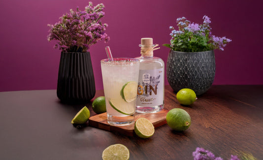 🍋‍🟩🫧 Gin Rickey – Der minimalistische Klassiker mit Charakter 🍋‍🟩🫧