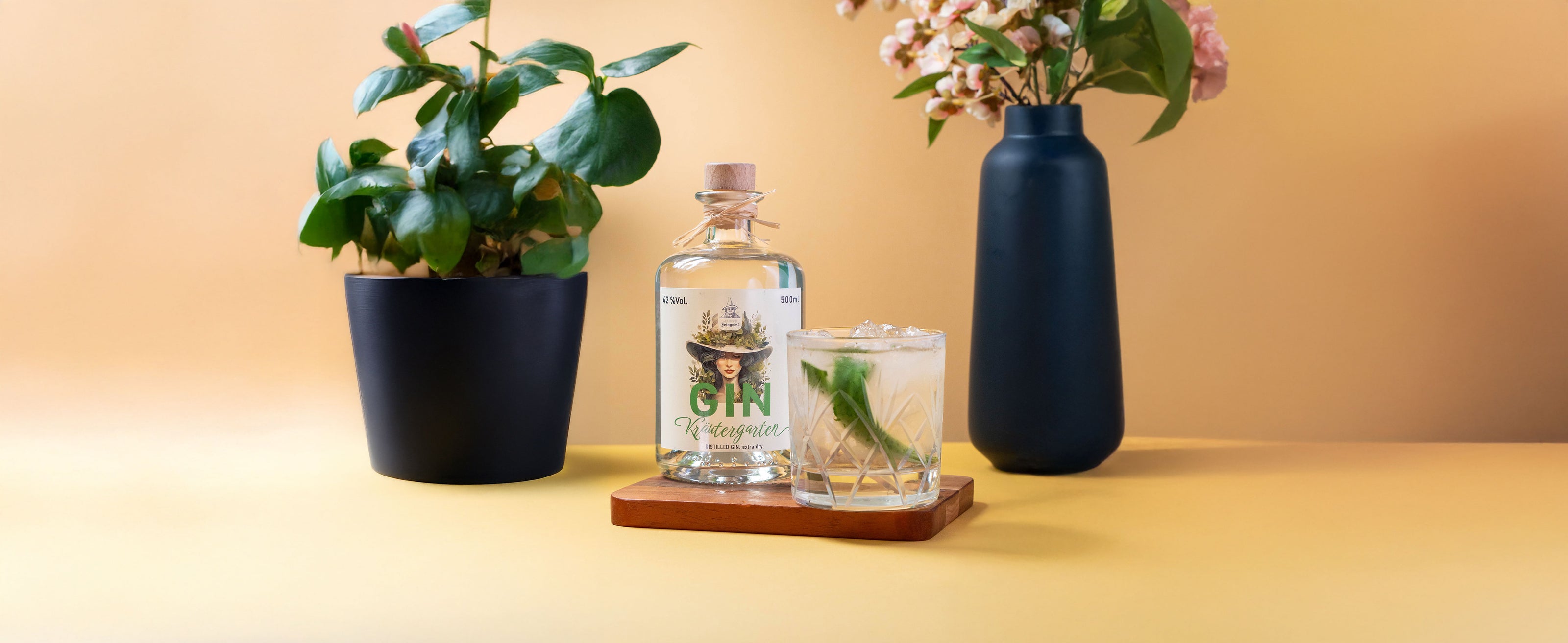 Gurken Gin Spritz im Tumblerglas mit Eis und Gurkenscheiben neben einer 500 ml Flasche Dresdner Feingeist Kräutergarten Gin, dekoriert mit Zimmerpflanzen auf gelbem Hintergrund.