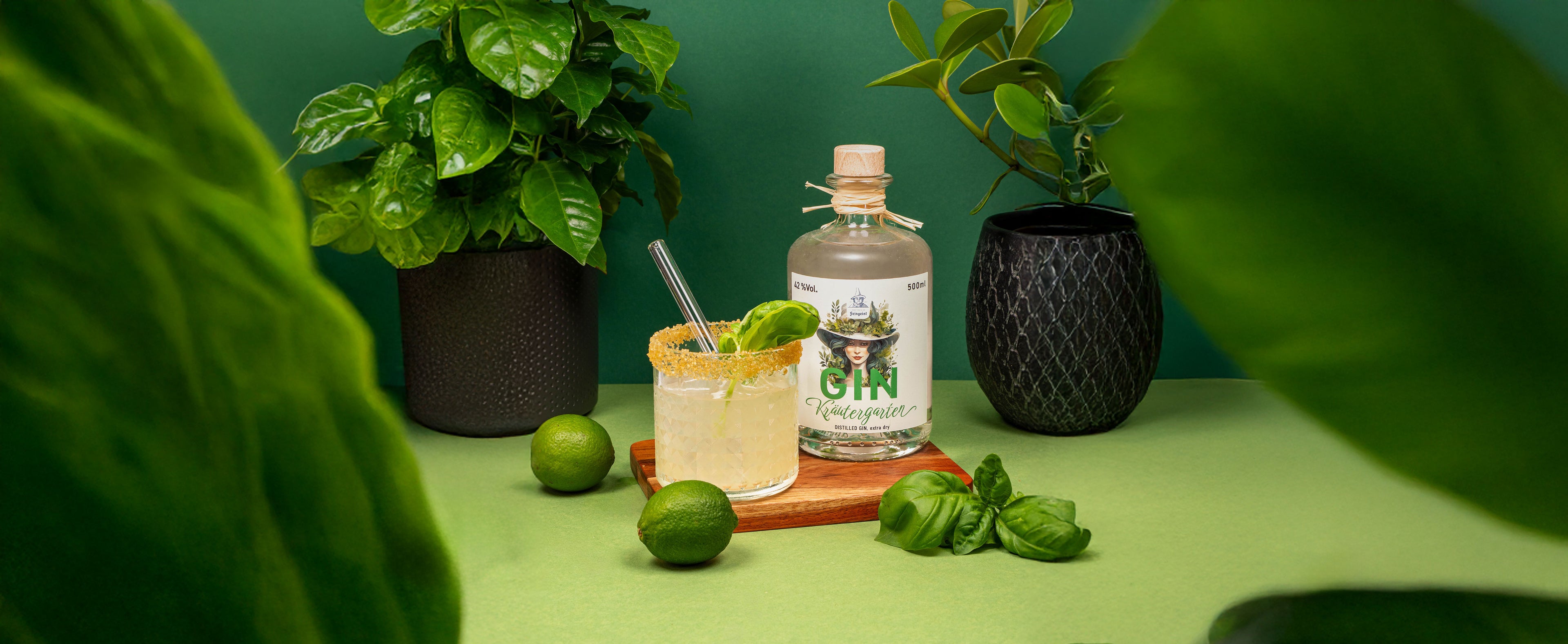 Frischer Gin-Drink im Tumbler mit Zuckerrand, Limettenscheibe und Strohhalm vor einer Flasche Dresdner Feingeist GIN Kräutergarten, arrangiert mit Limetten, Basilikum und grünen Pflanzen auf grünem Hintergrund.