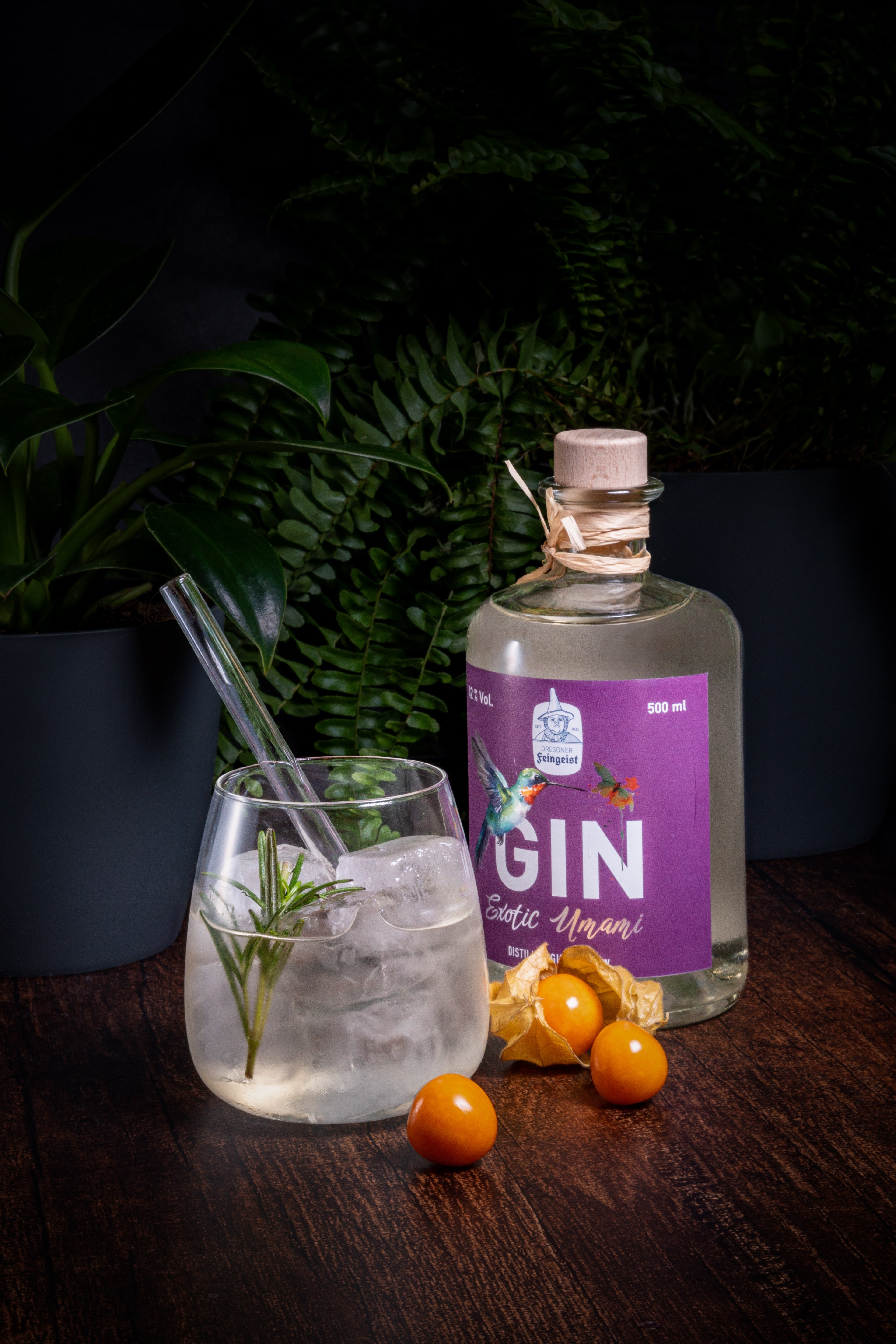 Ein atmosphärisch inszeniertes Gin-Arrangement mit der Sorte „Exotic Umami“ von Dresdner Feingeist: Die purpurfarbene Flasche steht neben einem runden Glas mit Eiswürfeln, einem Rosmarinzweig und einem Metall-Strohhalm. Auf dem dunklen Holztisch liegen dekorativ ein paar leuchtend orangefarbene Physalis; im Hintergrund sorgen Farn und schwarze Pflanztöpfe für eine stilvolle, natürliche Kulisse.